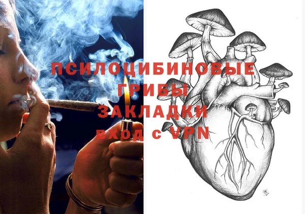mix Белокуриха